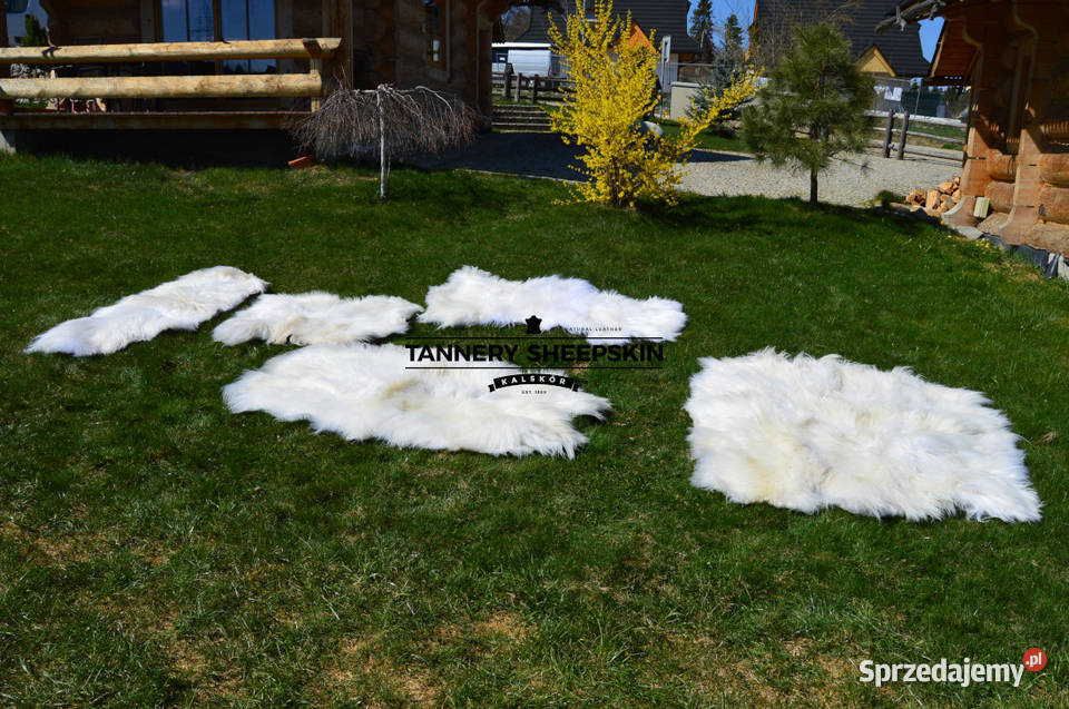 Skóry Owcze Zszywane Dywany Dywaniki Naturalna małopolskie Szaflary