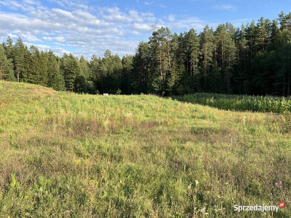 Działka budowlana Suwałki Las Biała Woda 100zł/m2 Sprzedaż