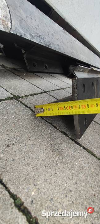 Teownik goracowalcowany Pozostałe Przecławice