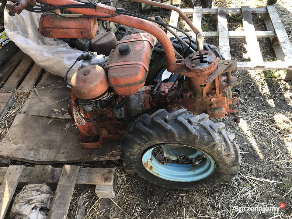 traktorek dzik nibbi wielkopolskie Piła