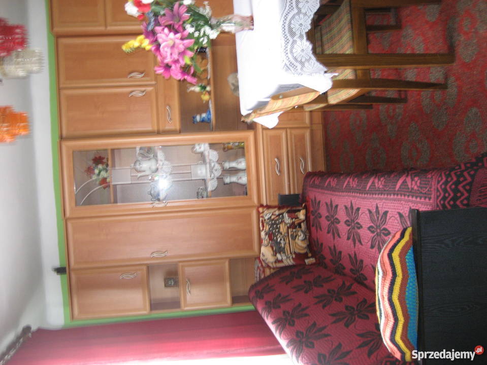 Siedlisko z domem Wola włościanska Kadzidło