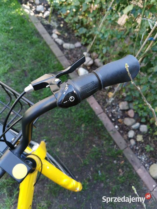 Rower Miejski Ofo 26 Miejskie Kiełczów