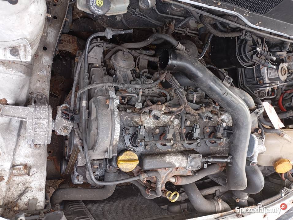 Silnik kompletny OPEL ASTRA H 17CDTI osprzęt osobowe Bochnia