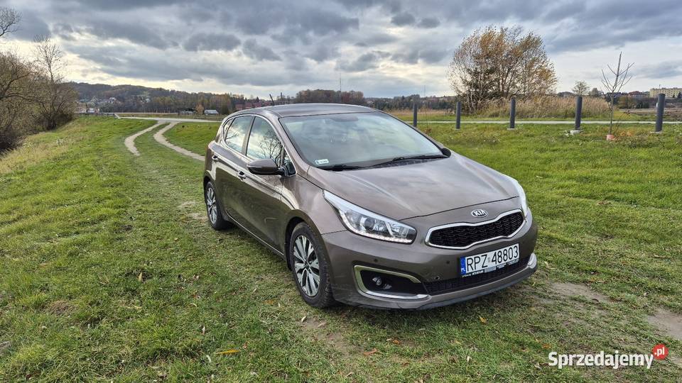 Kia Ceed 16 benzyna bezwypadkowy salon polska manualna Jawornik Polski
