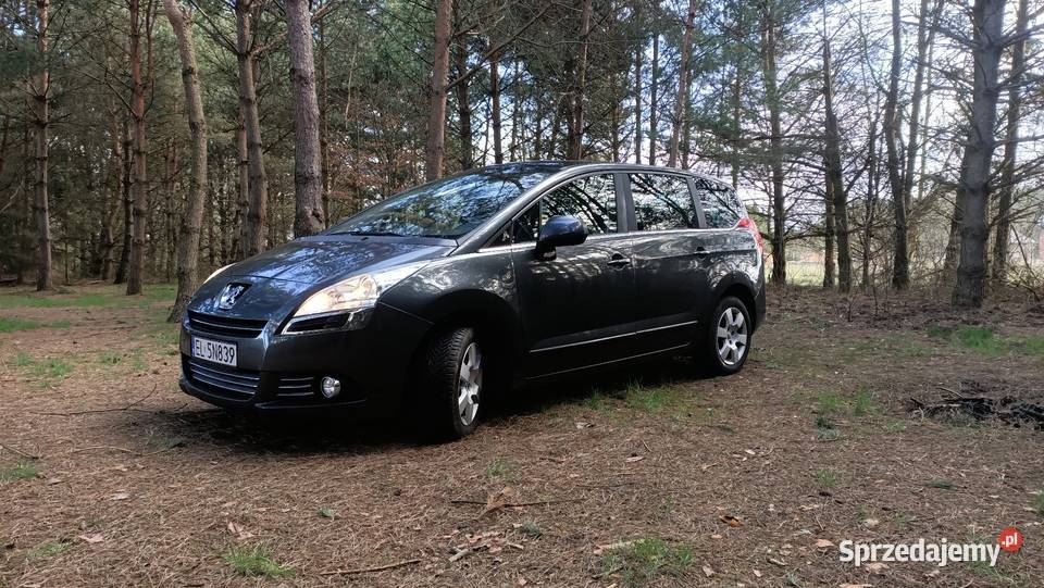 Peugeot 5008 7 osobowy łódzkie Łęg Ręczyński