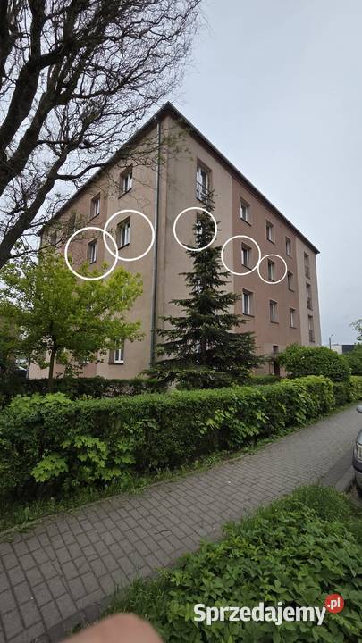 Na sprzedaż mieszkanie Ruda Śląska Halemba 3 miejsce parkingowe
