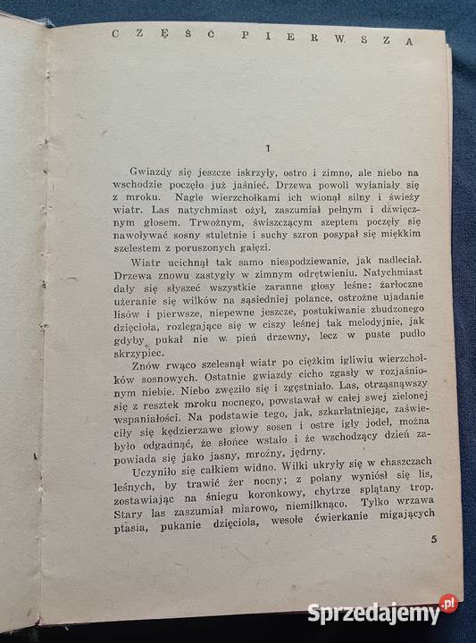 Borys Polewoj Opowieść o prawdziwym człowieku Koźminek