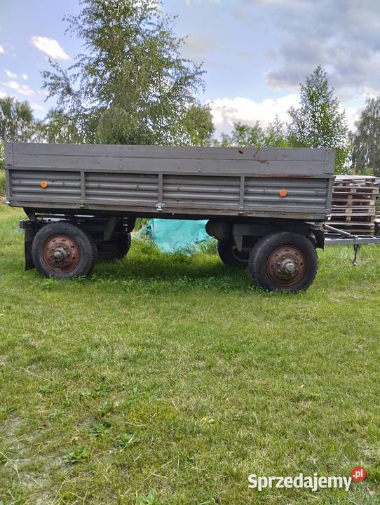 przyczepa d50 Raszków
