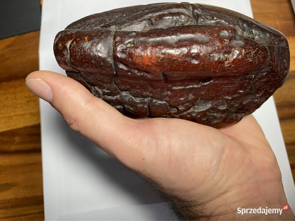 Sprzedam ponad 500g Bursztyn Bałtycki Kołobrzeg sprzedam
