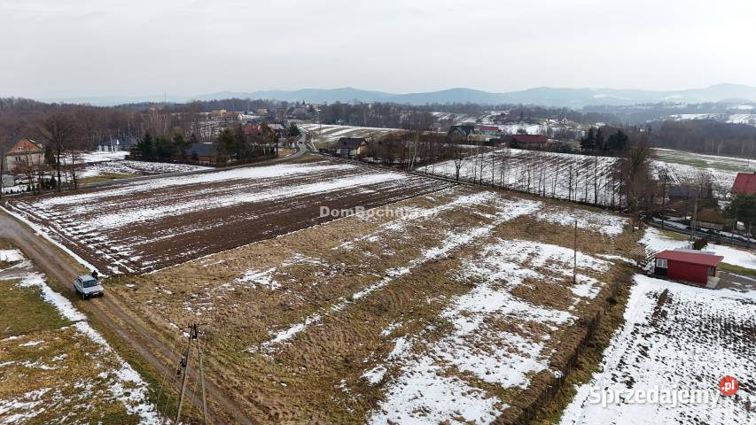 Ogłoszenie działka 1401m2 Tworkowa