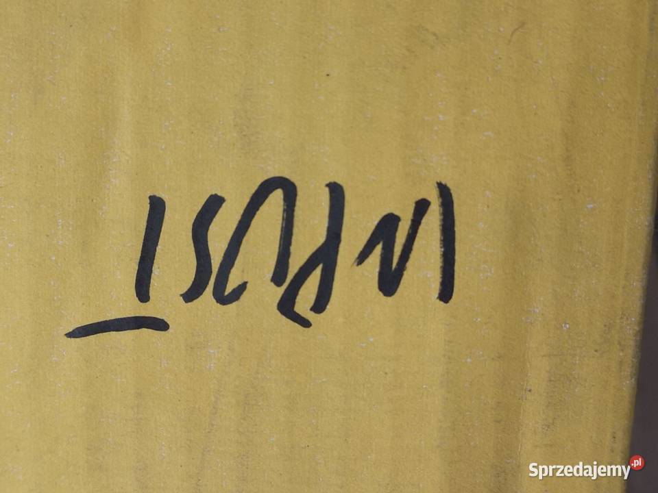 LUSTERKO LEWE FIAT DUCATO 19942006 NOWE MAGNETI lubelskie