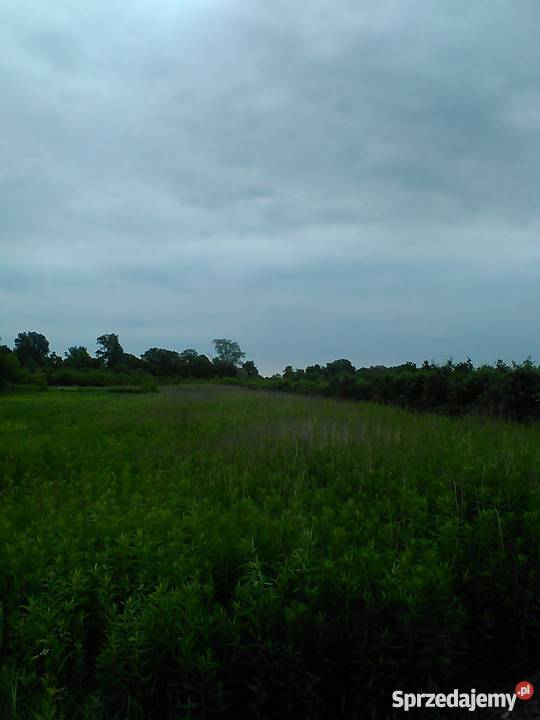 Sprzedam działkę Kępa Nadbrzeska 66zł/m2 Kępa Nadbrzeska sprzedam