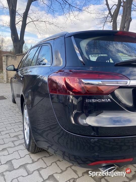 Opel Insignia 20 CDTI 170 Salon Polska Navi elektryczne lusterka Skoroszyce