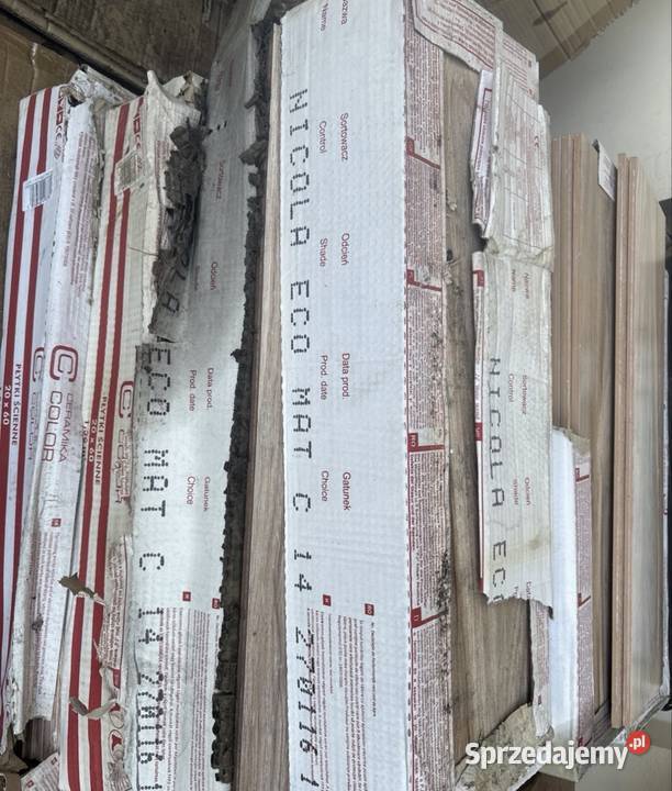 Płytki ścienne Ceramika Color NICOLA ECO MAT C pomorskie Łeba