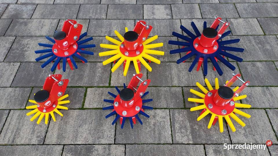 22 gwiazda gwiazdy słoneczko pielące pieląca Kutno