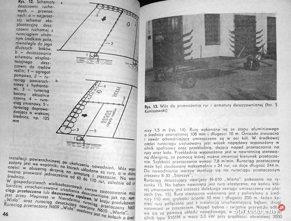 Nawadnianie warzyw Stanisław Kaniszewski sprzedam