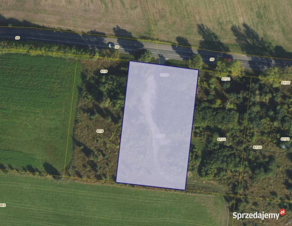 Działka 6710 w miejscowości Dębogórze rolna pomorskie