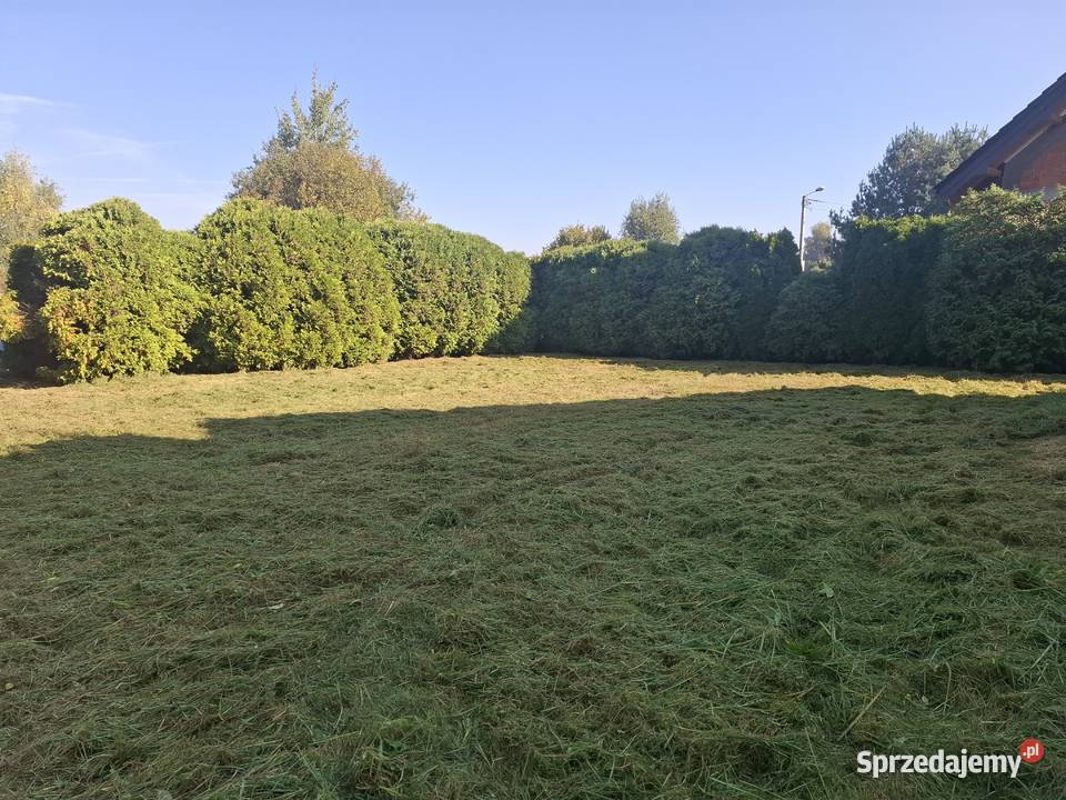 Wyburzenia Rozbiórki Przygotowanie lokali do Zabrze