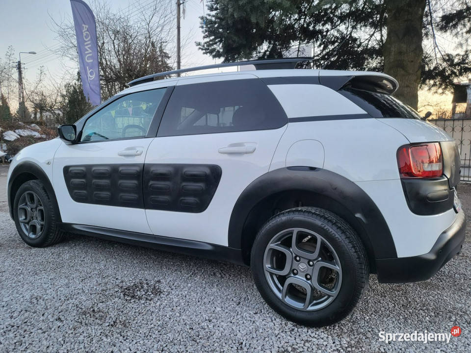 Citroen C4 Cactus 16 100 100 Oryginał 100 Pabianice