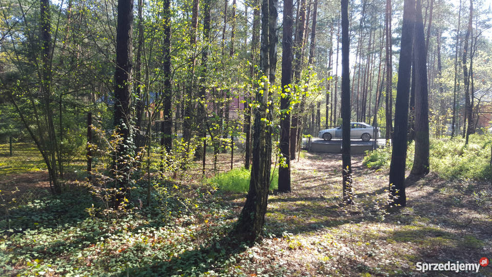 Działka na sprzedaż Wyszków RYBIENKO LEŚNE siatka Wyszków