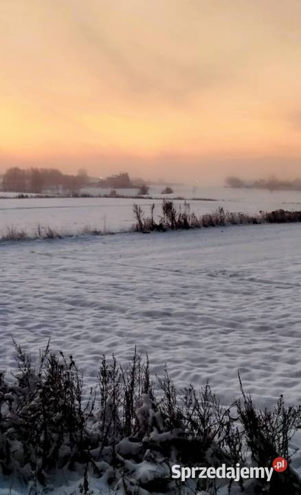 Sprzedam domsiedlisko Ostrowiec Świętokrzyski