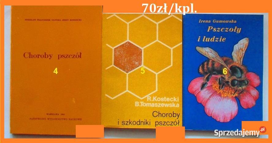 Pszczoły pszczelarstwo pasieka ule choroby Łódź