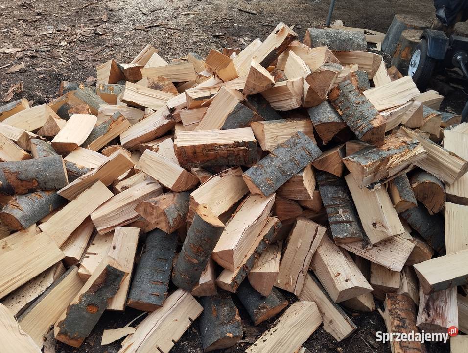 Drewno kominkowe buk 692805945