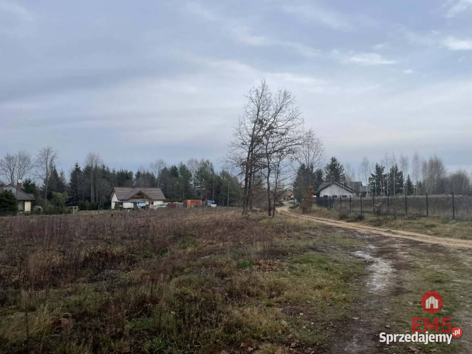 Działka 6000m2 Skrybicze sprzedam