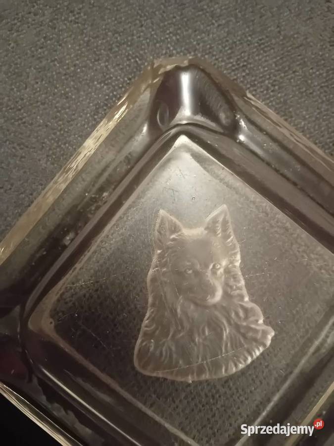 Popielniczka z wizerunkiem owczarka niemieckiego Porcelana i szkło Koźminek sprzedam
