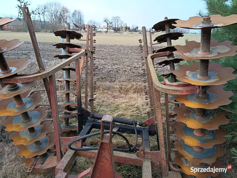 Talerzowka wielkopolskie Kokczyn Drugi