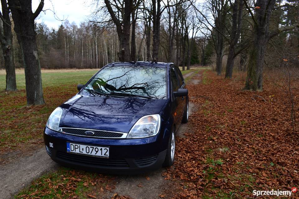 Ford Fiesta MK6 Ghia 2003 JEDYNA TAKA dolnośląskie Przemków sprzedam