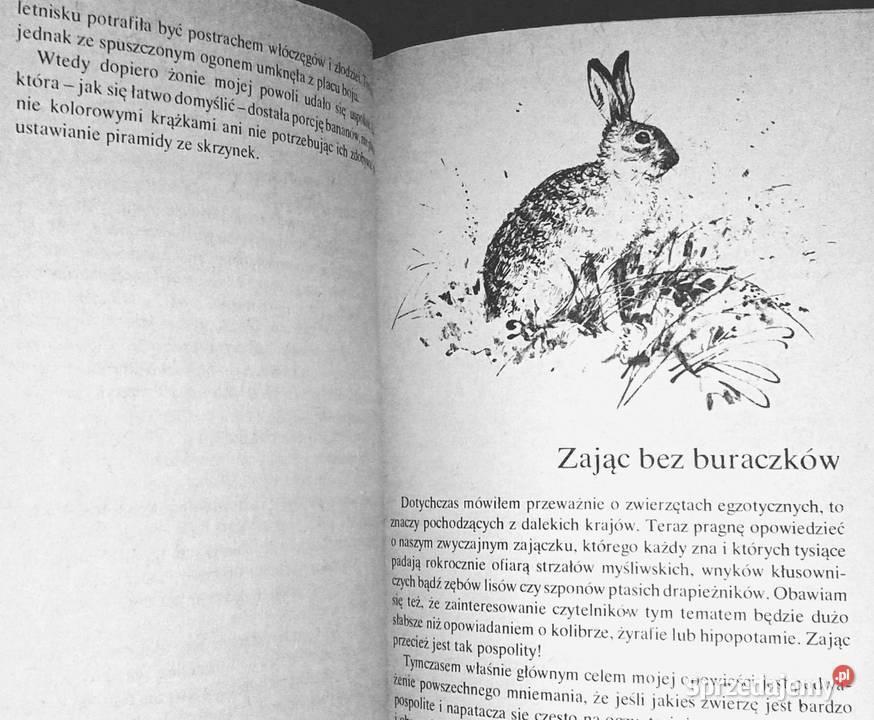 Hipopotam i spółka Jan Żabiński Książki i Podręczniki lubelskie Chełm