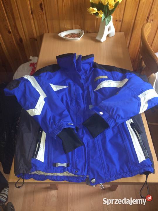 Kurka zimowa Gdańsk