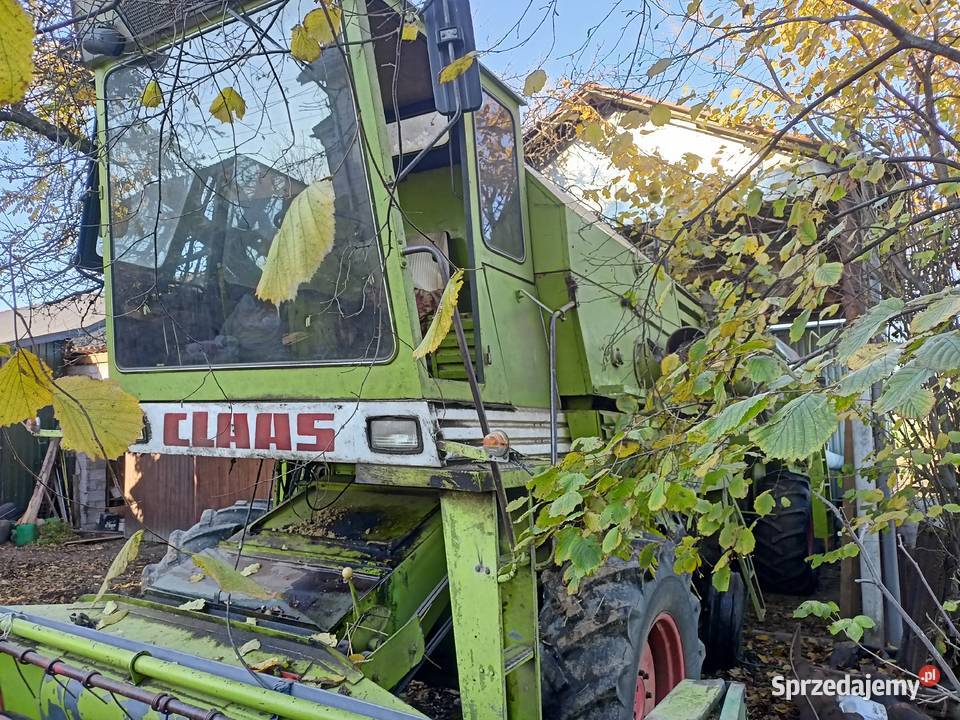 Claas mercator senator 70 Pęchów