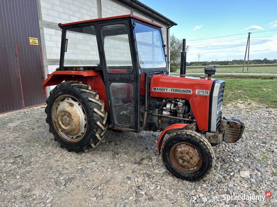 Massey Ferguson 255 Bodzanów