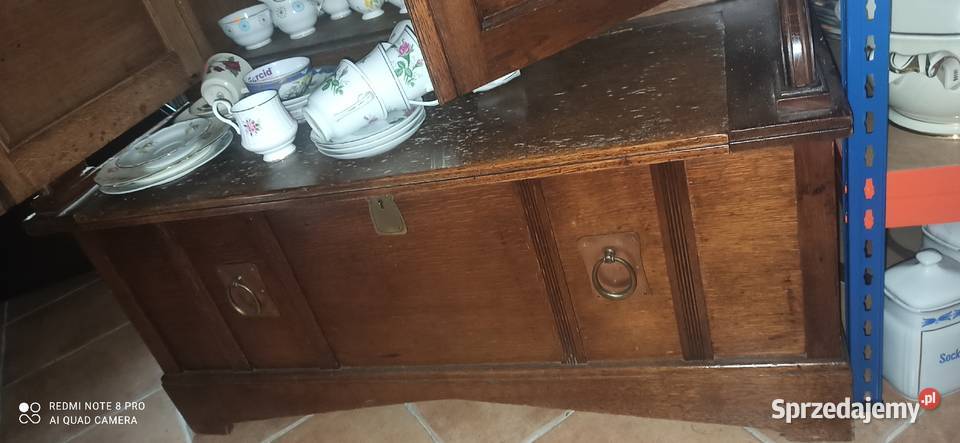 Biblioteka Secesja dąb pomorskie Gdańsk