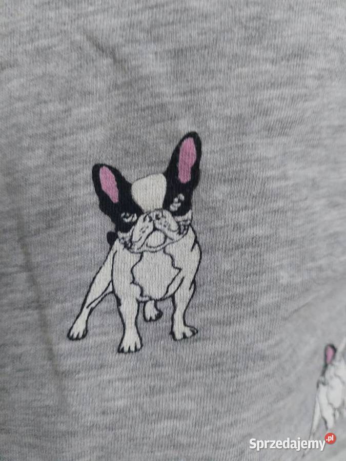 Tshirt w buldogi Primark 36 S psy szary damski