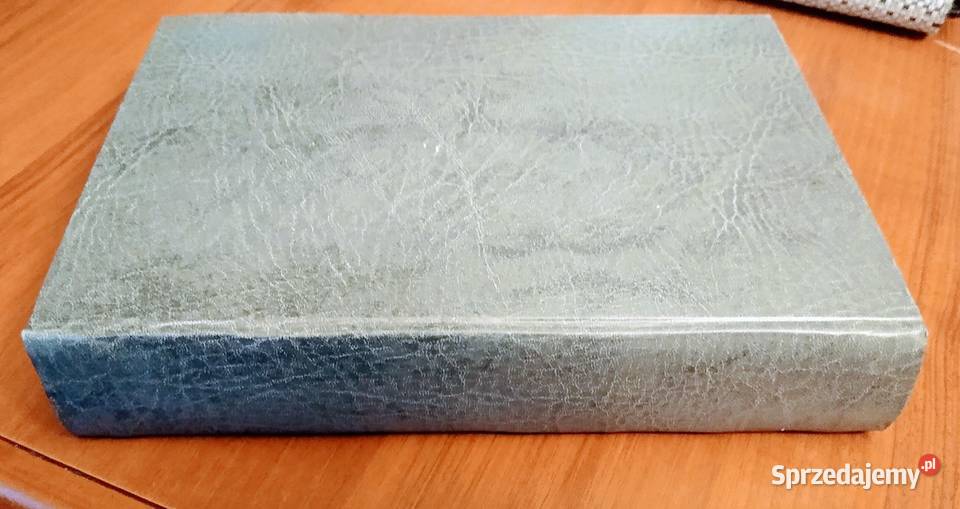 O poezji doskonałej czyli Wergiliusz i Homer Gdańsk