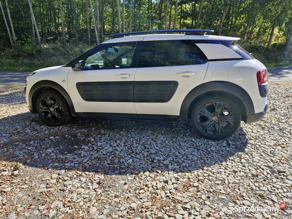 Citroen cactus z lpg i androidauto C4 Cactus Ścinawa Nyska
