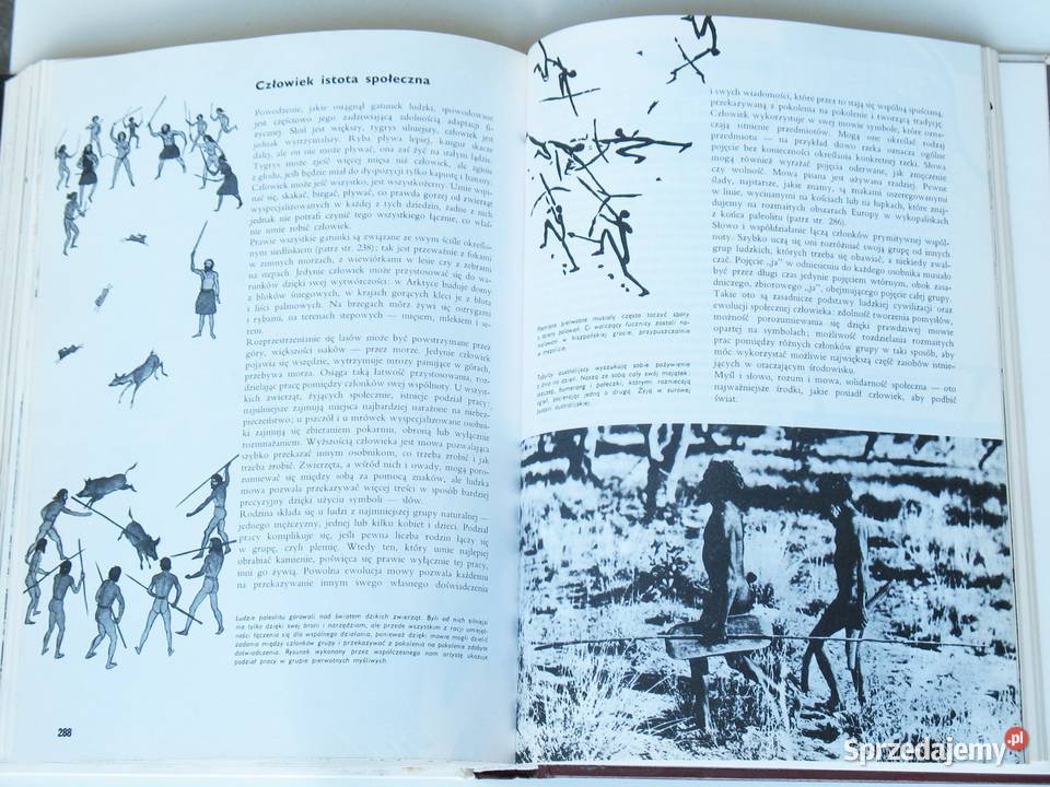 Larousse Ziemia Rośliny Zwierzęta Kraków sprzedam