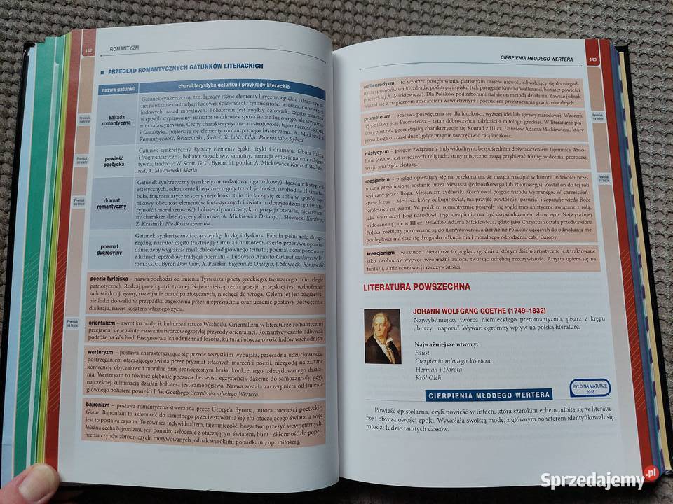 MATURA język polski vademecum Kraków sprzedam