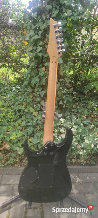 Gitara Ibanez RG 270