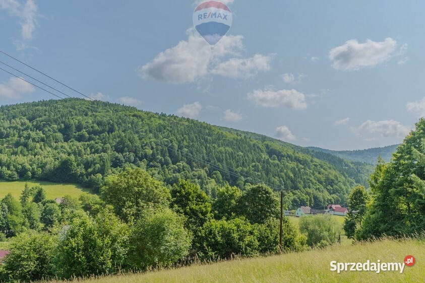 Działka leśna Rzyki małopolskie