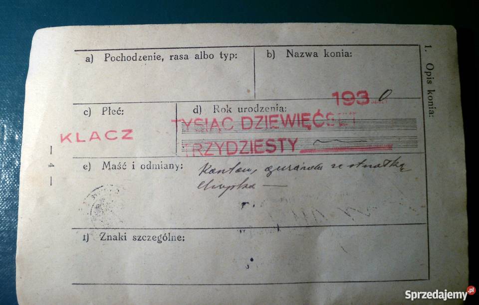 ANTYK 1934 Dowód tożsamości KONIA Kraków sprzedam