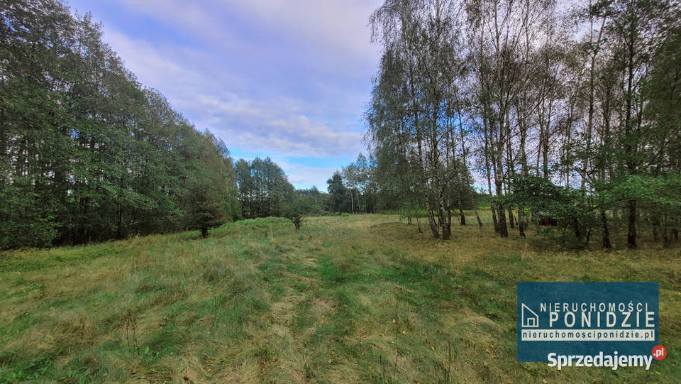 Działka rekreacyjna Łatanice kBuskaZdroju Sprzedaż sprzedam