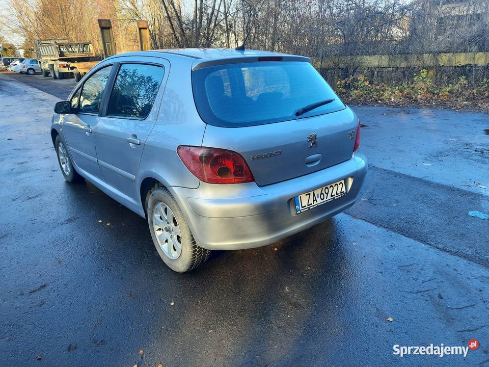 Peugeot 307 20HDi Biłgoraj
