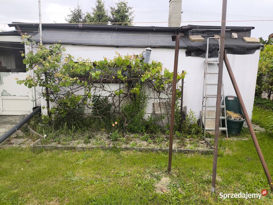 Sprzedam działkę ROD Szafirek Poznań