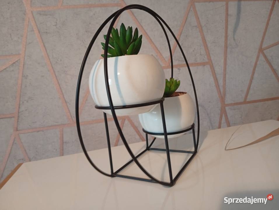 Zestaw sukulentów na metalowym stojaku podkarpackie Jasło