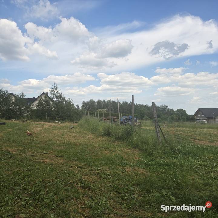 Działka budowlana 10a siatka Sprzedaż Pszczyna