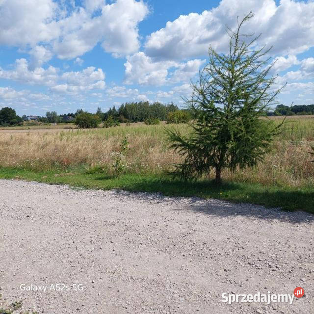 sprzedaży działki 1323m2 Rozalin prąd Sprzedaż